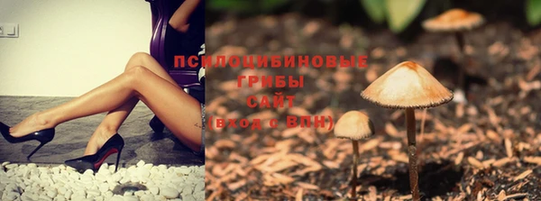 гидра Волосово