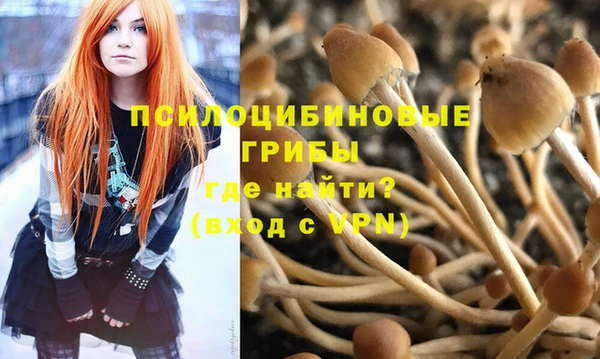 ALPHA-PVP Верея