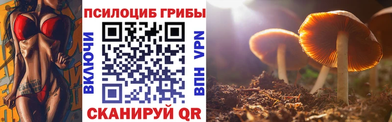 Псилоцибиновые грибы Cubensis Купить Крымск